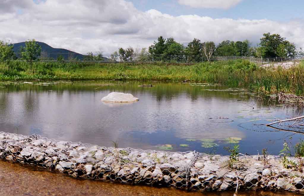 Veteran’s-Reservoir-Amphibian-Habitat-Mitigation-Site-7 - DuBois & King