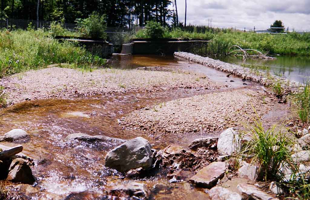 Veteran’s-Reservoir-Amphibian-Habitat-Mitigation-Site-8 - DuBois & King